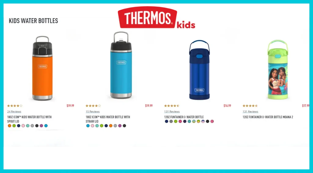 Thermos Funtainer Kids Water Bottle