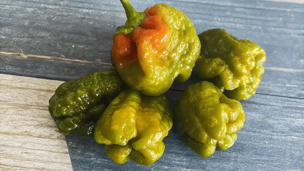 Piment Pepper X, plus fort du monde